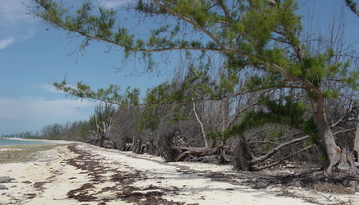 hurricane ivan damage in 2004