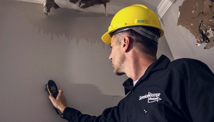 image of a service master water damage professional 